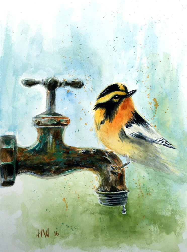 Blackburnian Warbler, watercolor painting