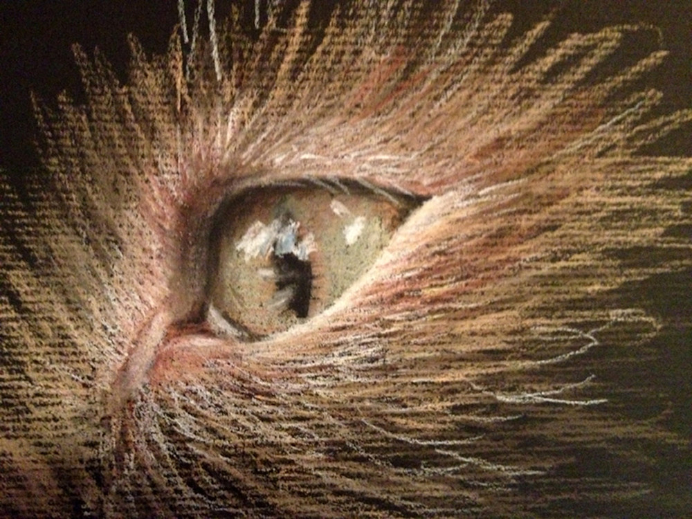 Cat's Eye, pastel drawing by Holly Whiting