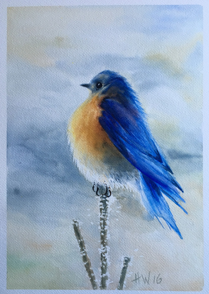 Fat Bluebird Art | Holly Whiting Art