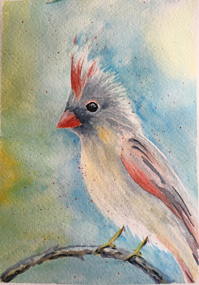 Female Cardinal Art | Holly Whiting Art