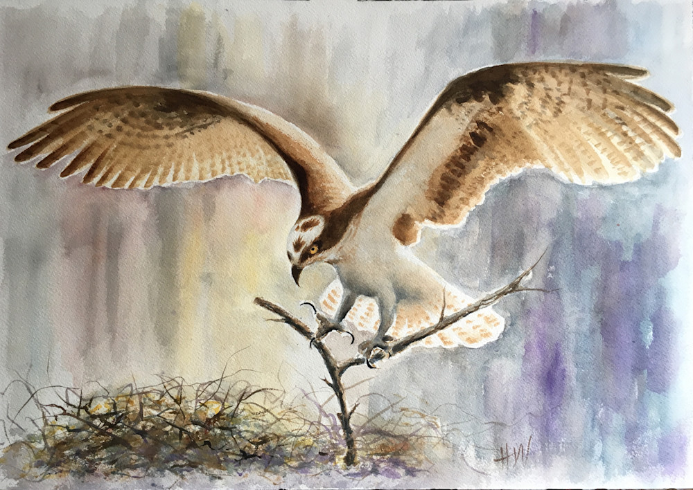 Nesting, watercolor painting by Holly Whiting