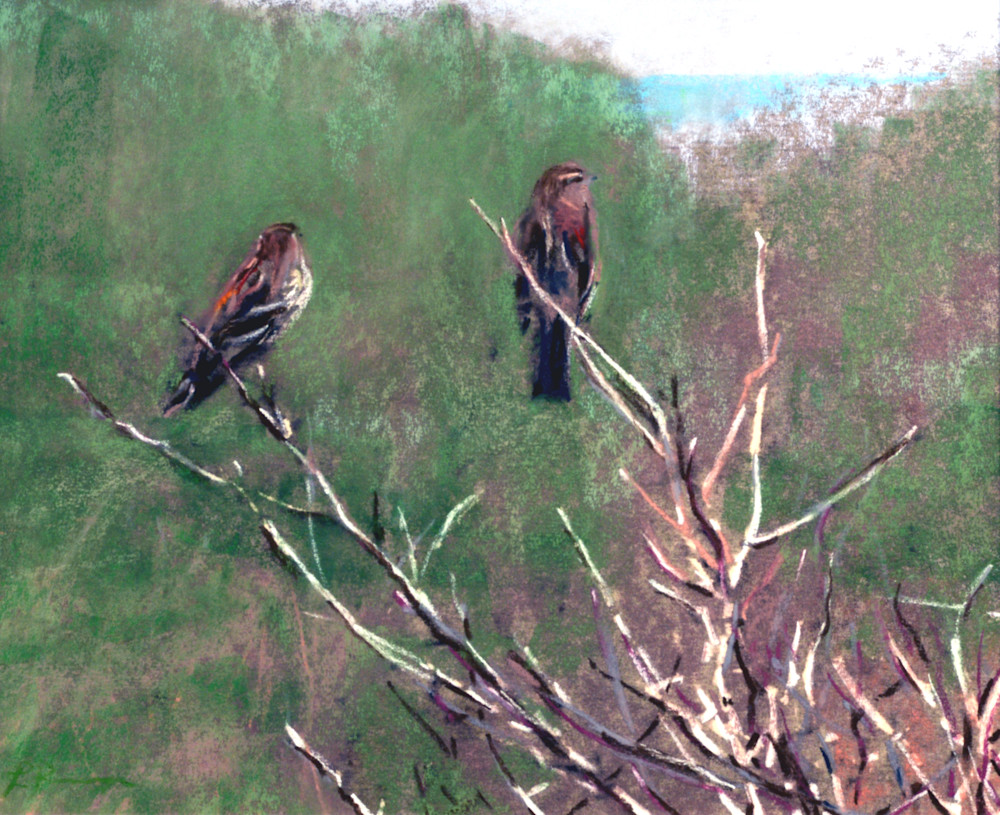landscape painting
oregon coast 
birds