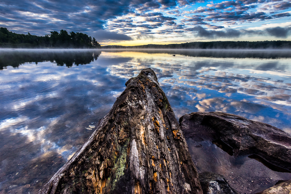Algonquin state park at sunrise with petrified wood log