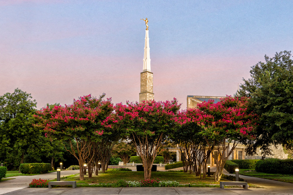 Dallas Temple - Flowering Trees