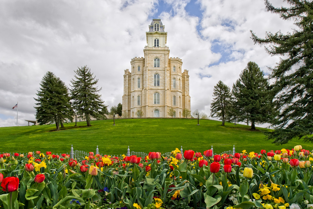 Manti Temple - Tulips and Grass