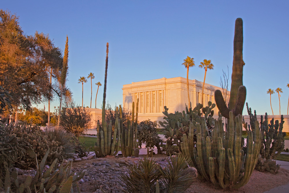 Mesa Temple - Cactus