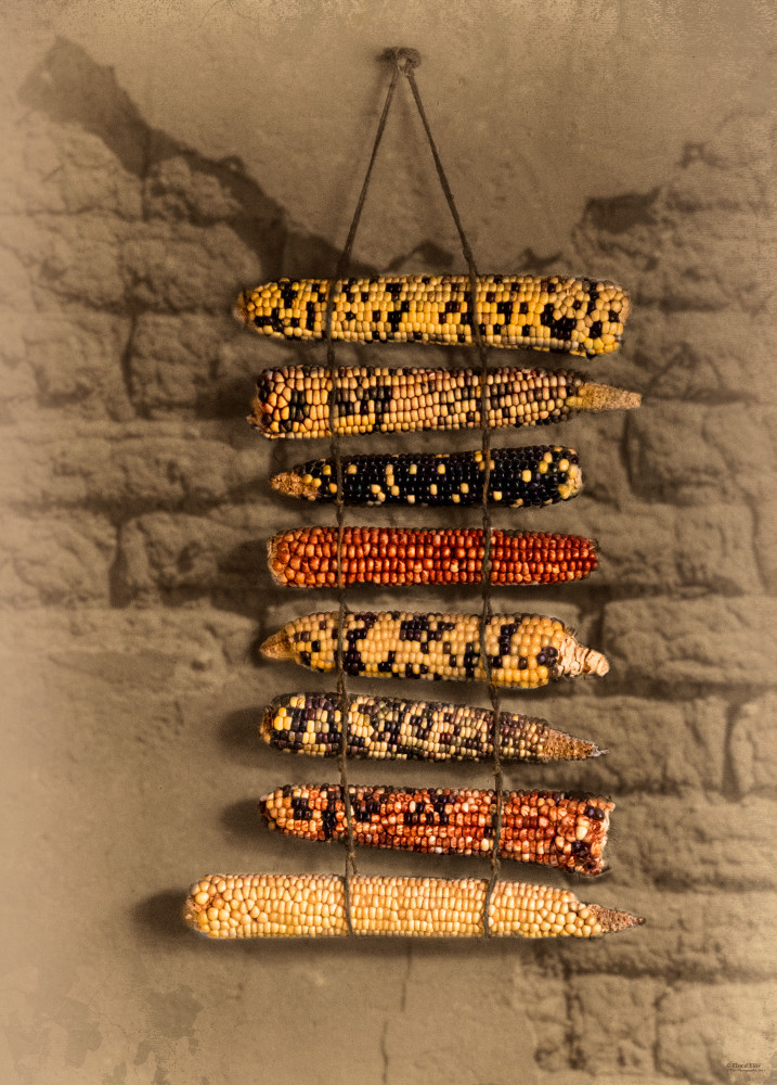 Corn Ristras d'Ellis Photographic Art photographs, Elsa Corn Ristras d'Ellis Photographic Art photographs, Elsa