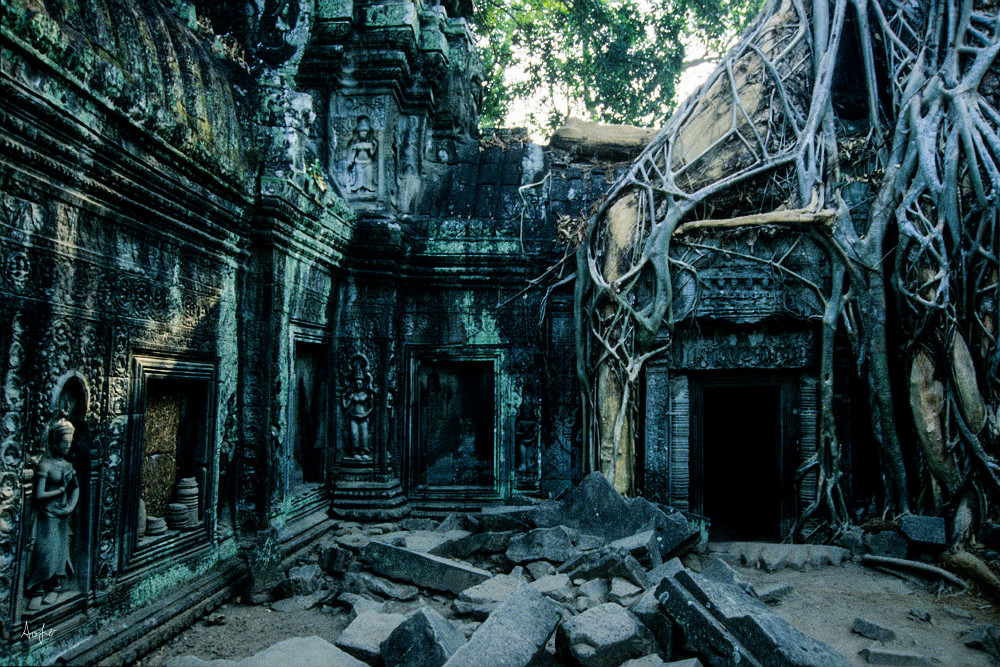 Fine art photograph of Ta Prhom temple.