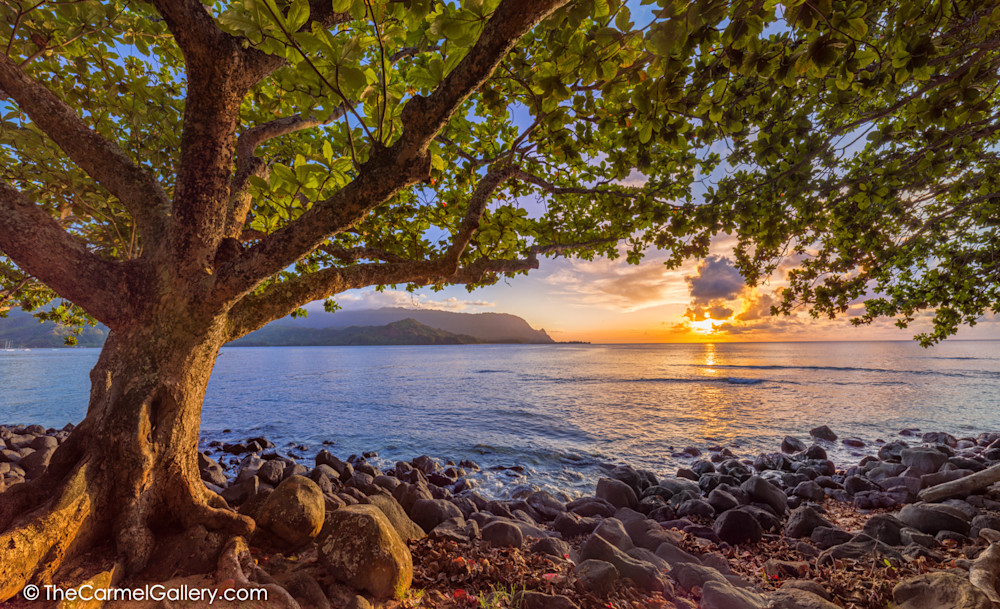 Puu Poa Sunset Photo