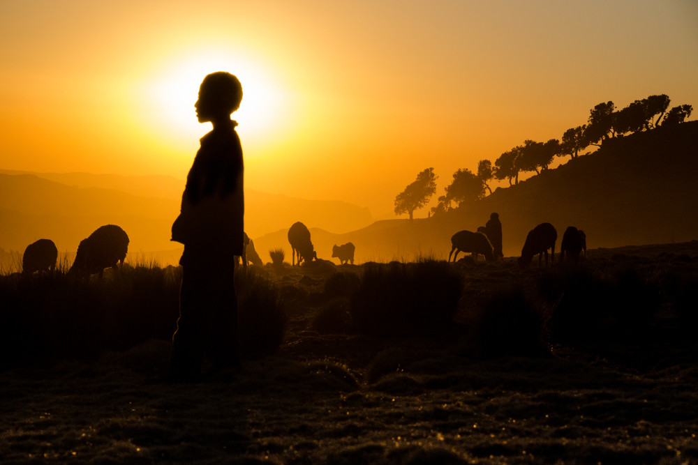 Herder in silhouette with halo and orange sun behind