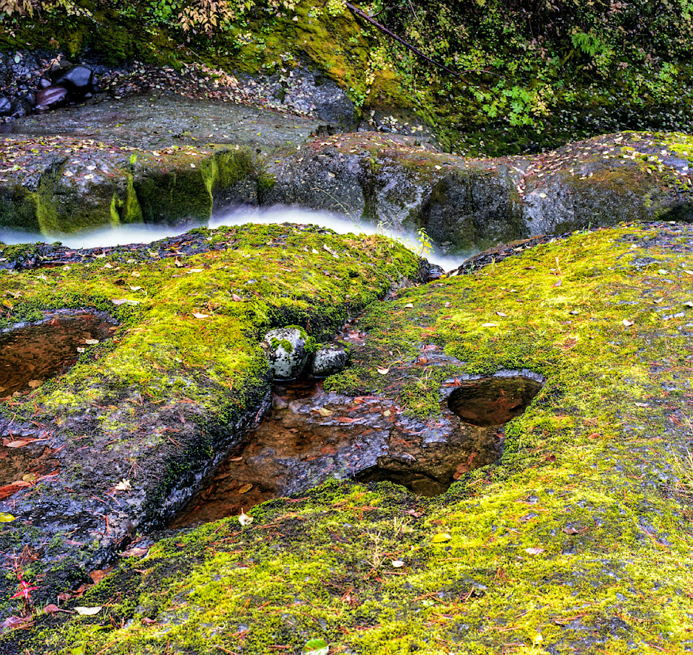Metolius Stream in Spring Metolius Stream in Spring