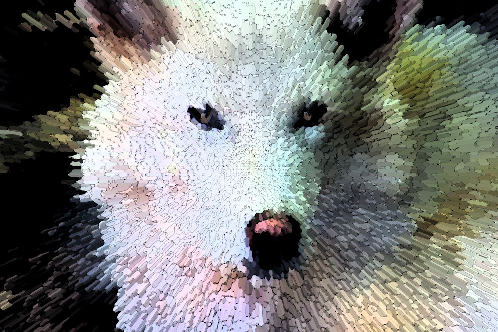 Weird Of The White Wolf Art | Oz Fine Art Studio