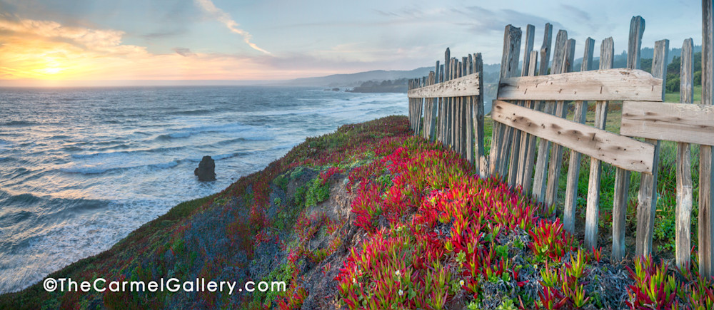 Picket fence, ice plant, pacific ocean, sunset at Black Point, Sea Ranch, California