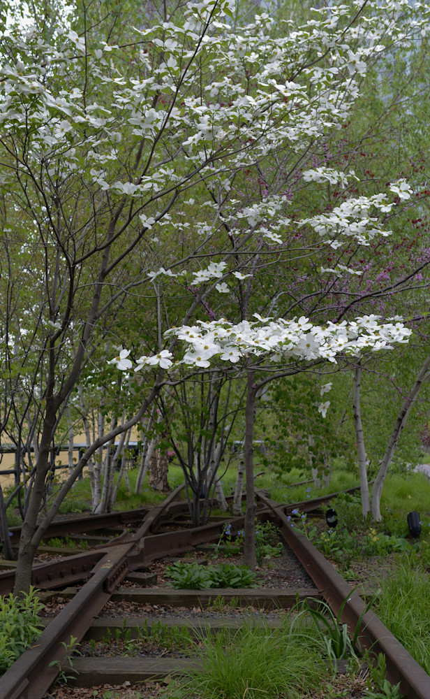 Dsc 5079 Art | Jan Anders Nelson Art