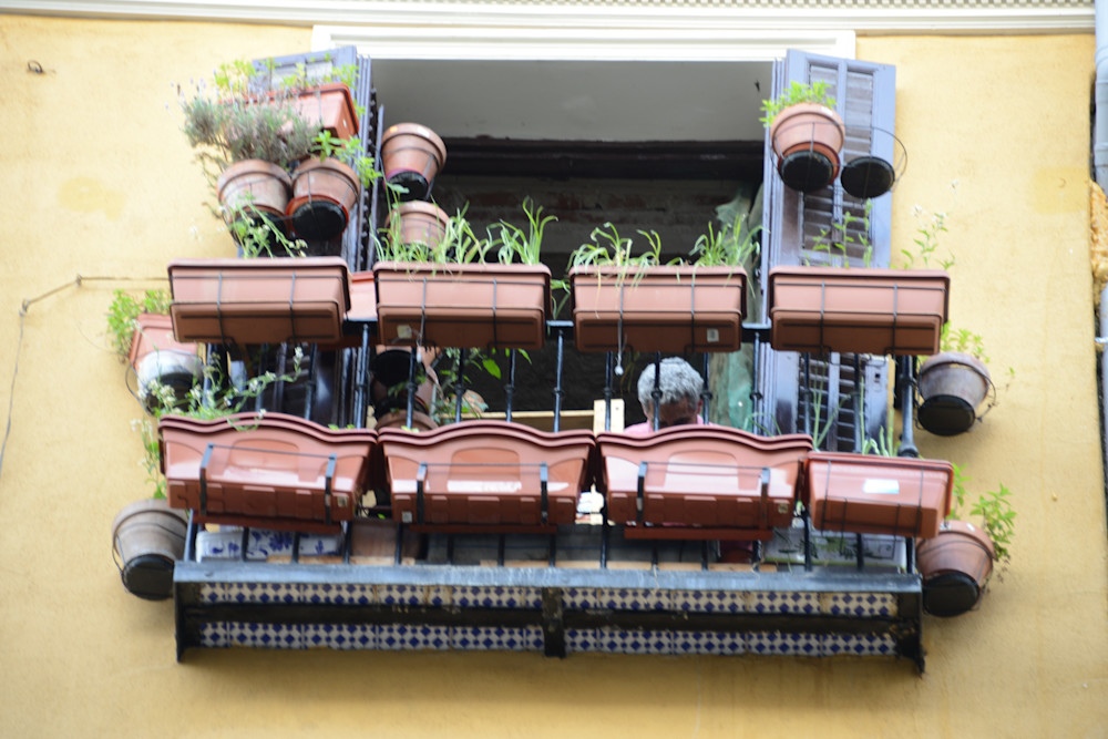 Dsc 3027 Art | Jan Anders Nelson Art