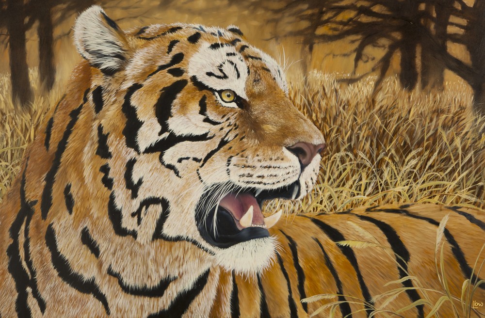 Tiger In The Meadows  Art | rubenllano