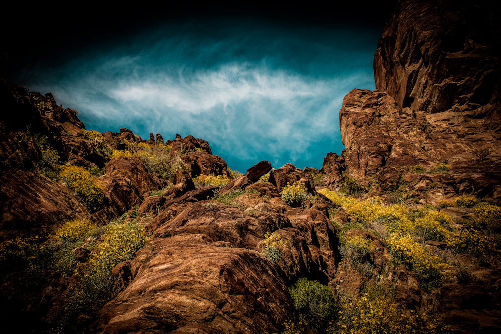 Looking Up Looks Like Down Photograph For Sale as Fine Art Looking Up Looks Like Down Photograph For Sale as Fine Art
