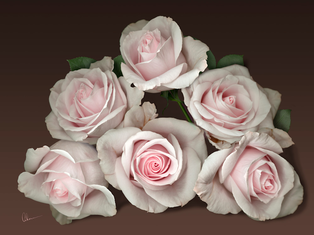 Pink Rose Pyramid on a Brown Background. Contemporary ultra high resolution wall art. A print of an original artwork by Mary Ahern Artist.