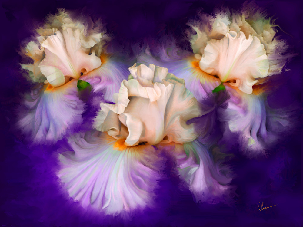Dancing Iris Trio, wall art. A print of an original painting by the artist, Mary Ahern.
