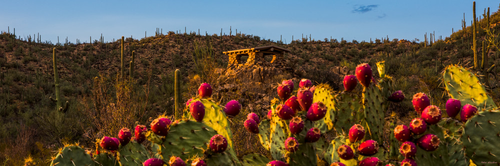 Prickly Pear Lookout