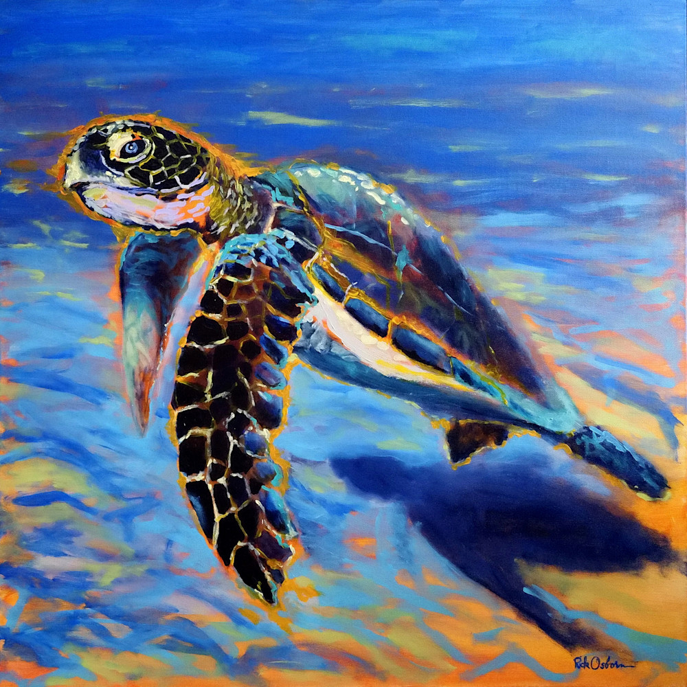 Aquatic Sea Turtle Print | Any size large or small