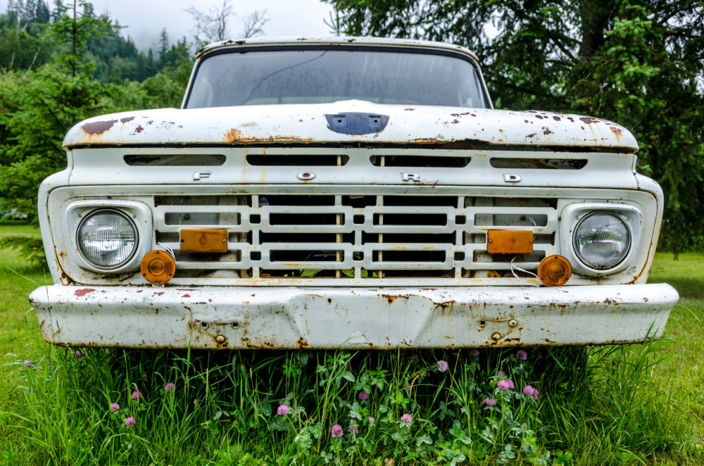 Old white Ford car with purple flowers in front in an art photograph