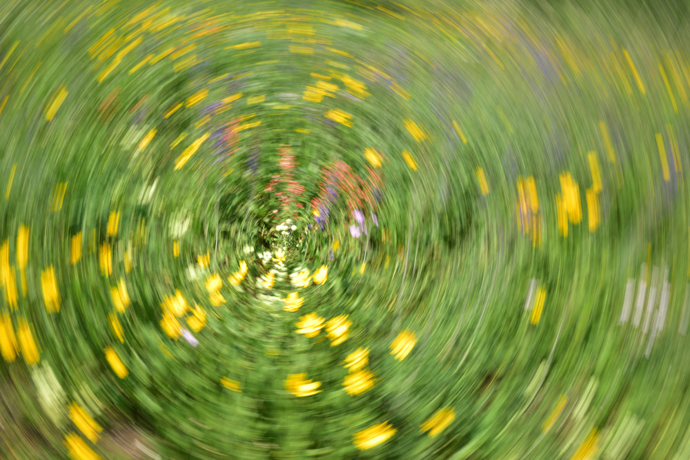 Impressionistic Photographs - Motion Blur Dancing in Fields of Wild Flowers - Fine Art Prints on Metal, Canvas, Paper & More By Kevin Odette Photography