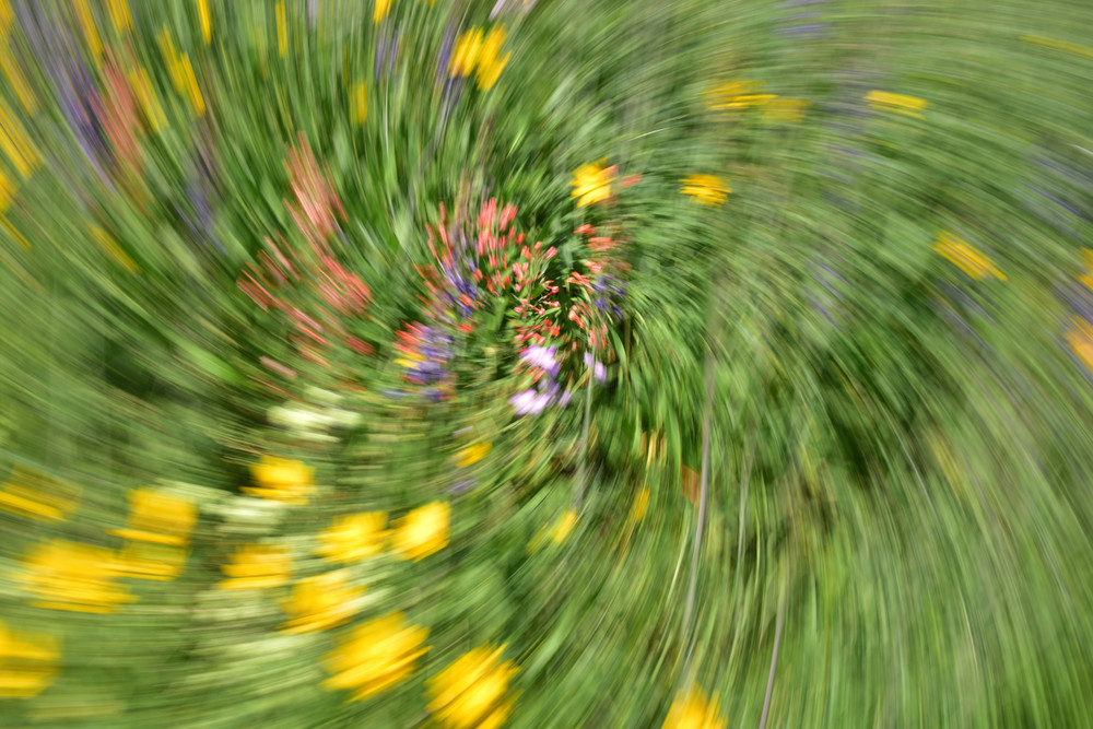 Impressionistic Photographs - Motion Blur Mountain Wildflowers Vortex - Fine Art Prints on Metal, Canvas, Paper & More By Kevin Odette Photography