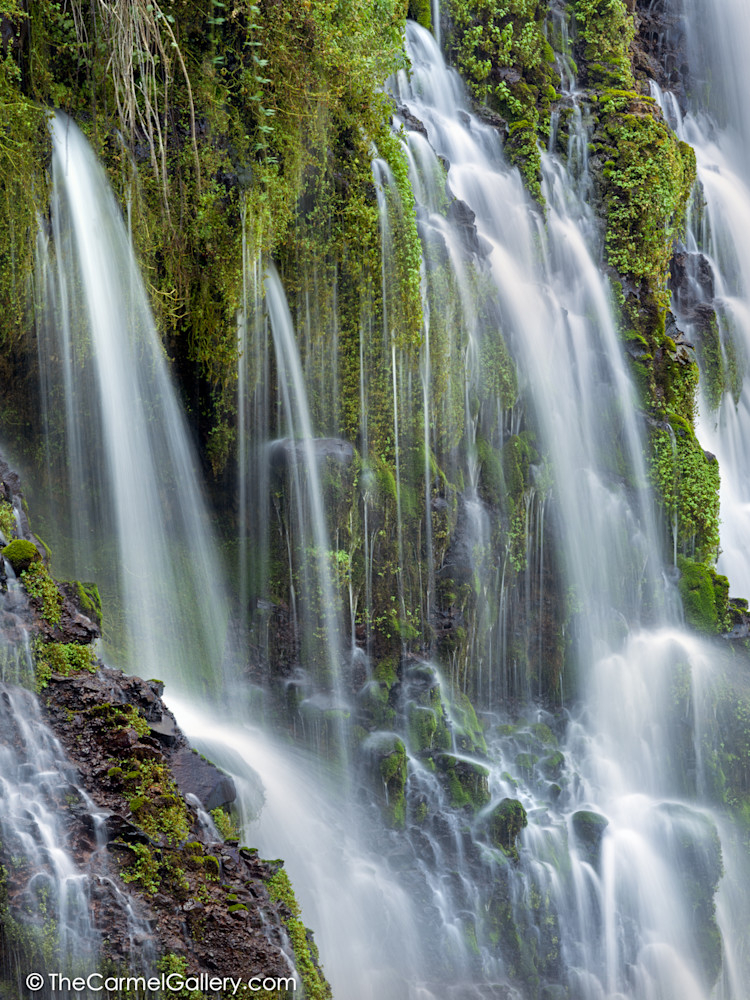 Waterfall Song Ii Art | The Carmel Gallery