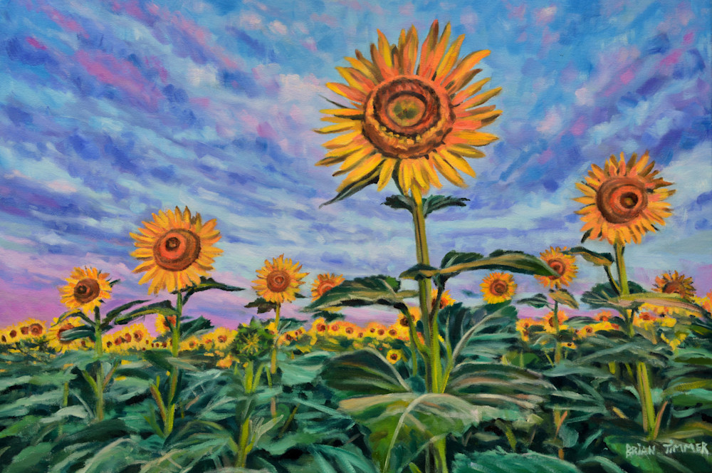 Rise and Shine Kansas Sunflower Oil Painting