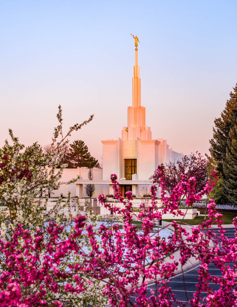 Denver LDS Temple Sunrise Spring