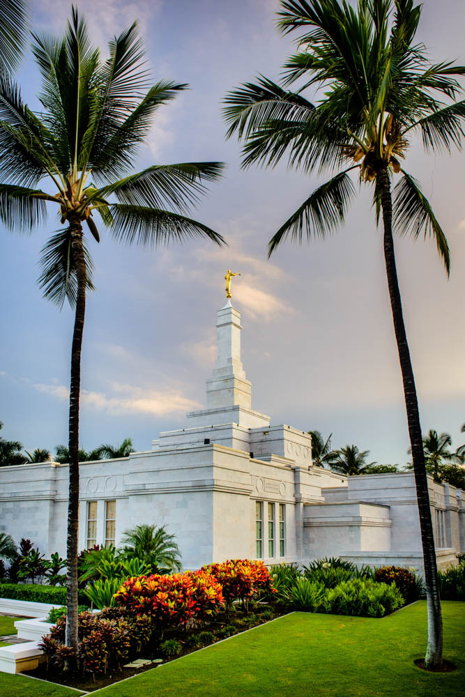 Kona Temple - Palm Trees