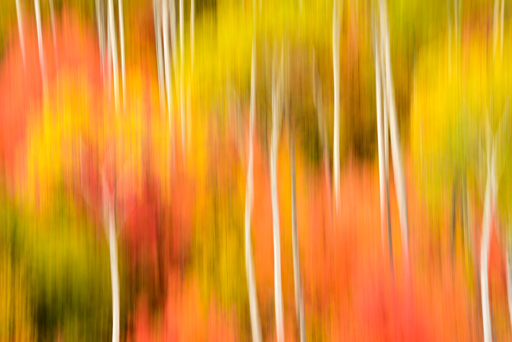 Impressionistic Photographs - Motion Blur The Wonder Of It All Act 1 Palisades Idaho The Third of Three - Fine Art Prints on Metal, Canvas, Paper & More By Kevin Odette Photography