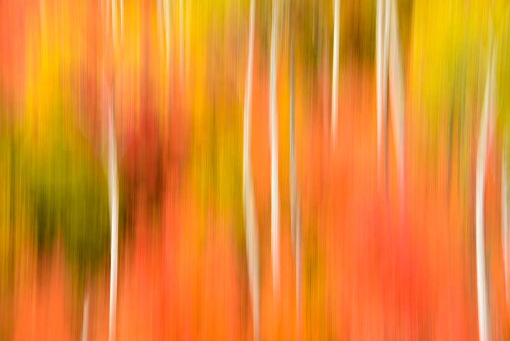 Impressionistic Photographs - Motion Blur The Wonder Of It All Act 1 Palisades Idaho The First of Three - Fine Art Prints on Metal, Canvas, Paper & More By Kevin Odette Photography