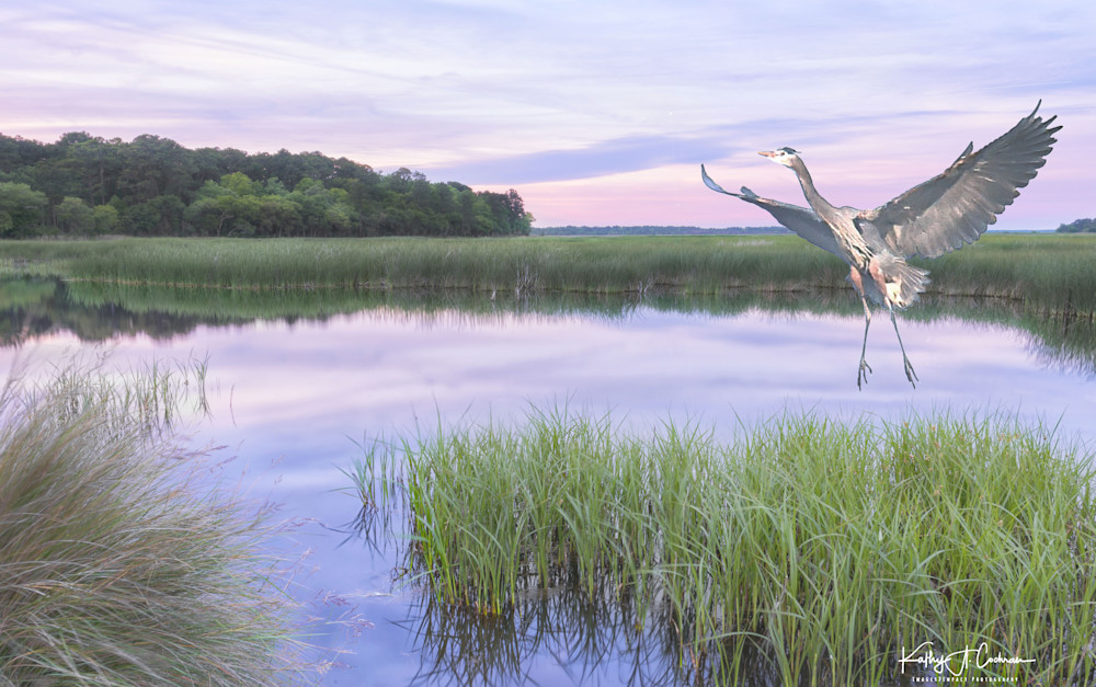 Landing In The Marsh Art | Images2Impact