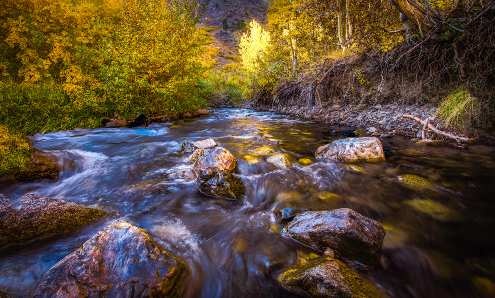 Gold Rush on McGee Creek Gold Rush on McGee Creek