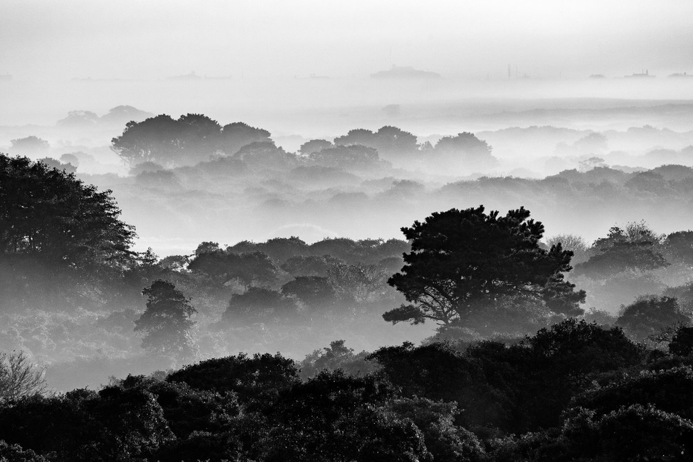 "Middle Moors Foggy Sunrise - BW" Black and White Nantucket 
Landscape Photography