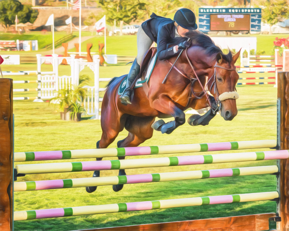 Bay Showjumper #1 AE - San Juan Capistrano, California 2016 Bay Showjumper #1 AE - San Juan Capistrano, California 2016