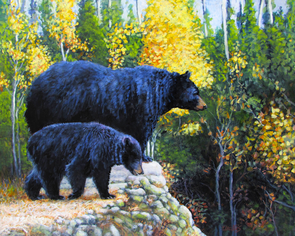 Black Bear And Cub Orig Art | Charles Wallis