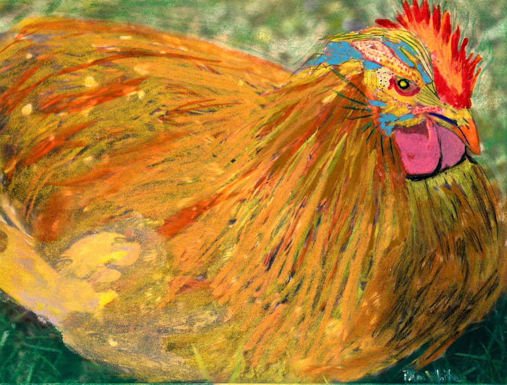 Sitting Chicken Art | Pam White Art