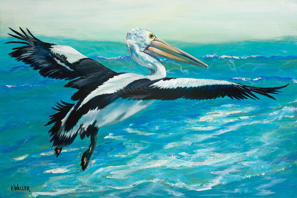 Coastal Flight Coastal Flight