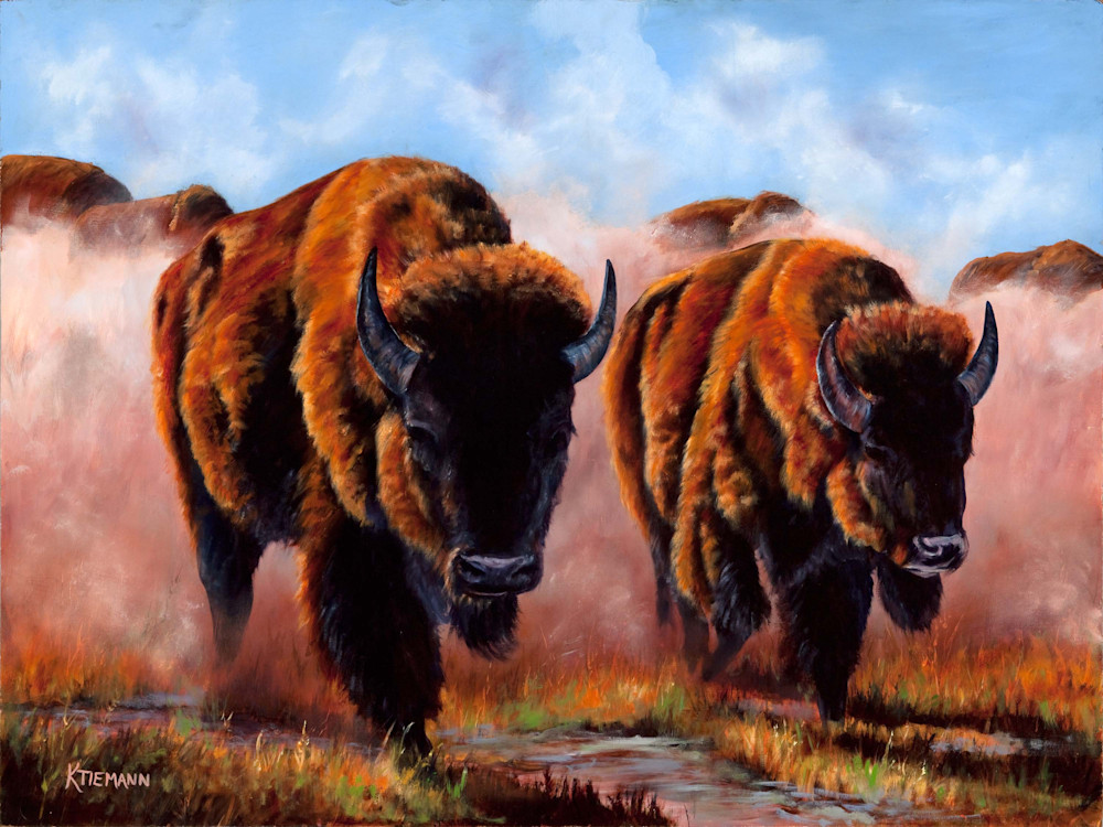 Buffalo Dust, fine art print of buffaloes kicking up dust