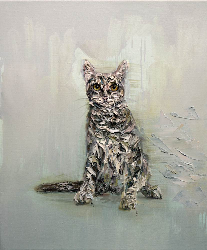 Cat by Mathieu Laca
