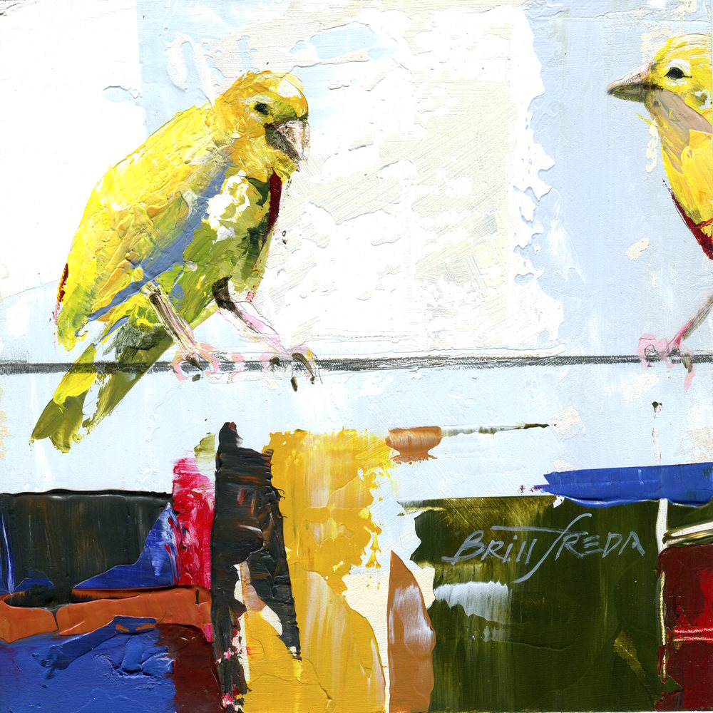 Solar Canary V
