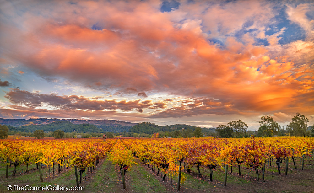 Up Valley Sunset Art | The Carmel Gallery