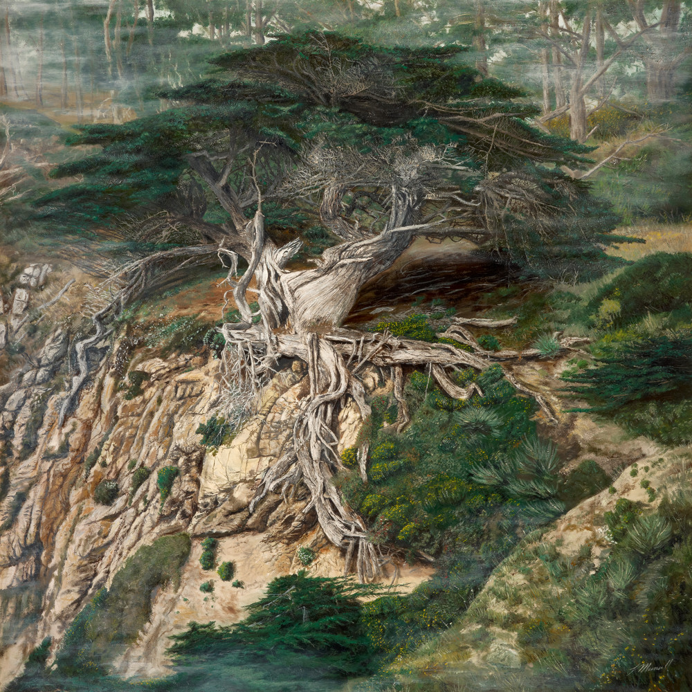 In Quietness Art | Cypress Cove Creations