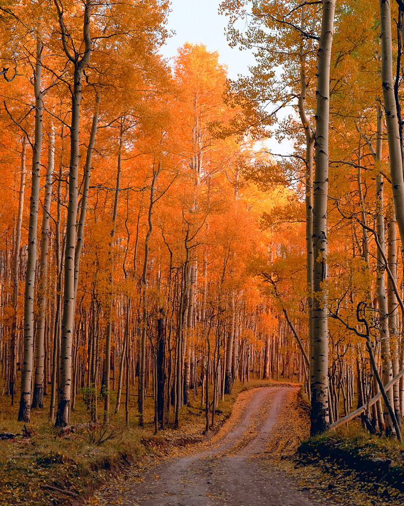 Autumn Journey on Last Dollar Road by art photographer James Frank