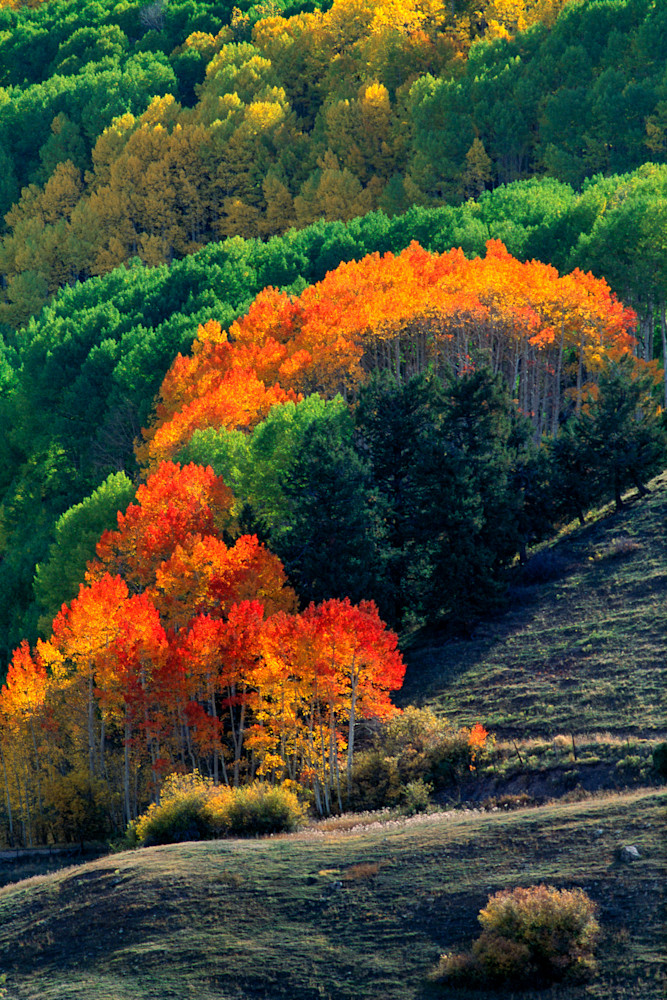 Art prints and displays of autumn in Colorado by photographer James Frank