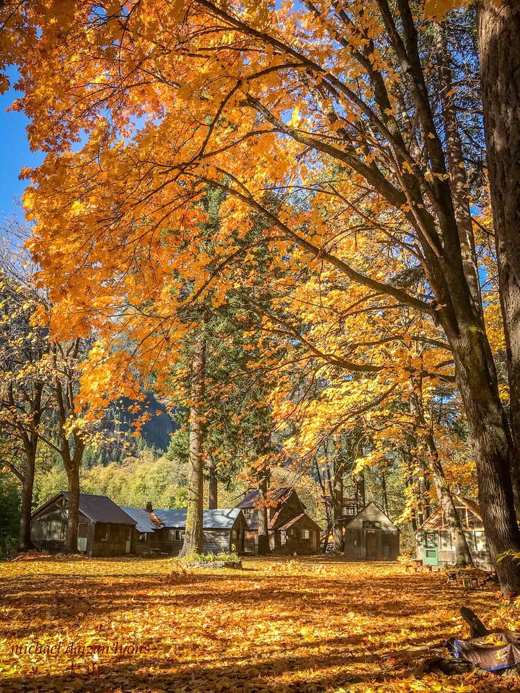 Fall Leaves . Stehekin Photography Art | DAIZAN IMAGES