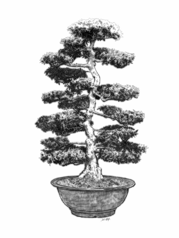 Digital etching by Eric Wallis, inventor of the technique, titled, "Bonsai Four."